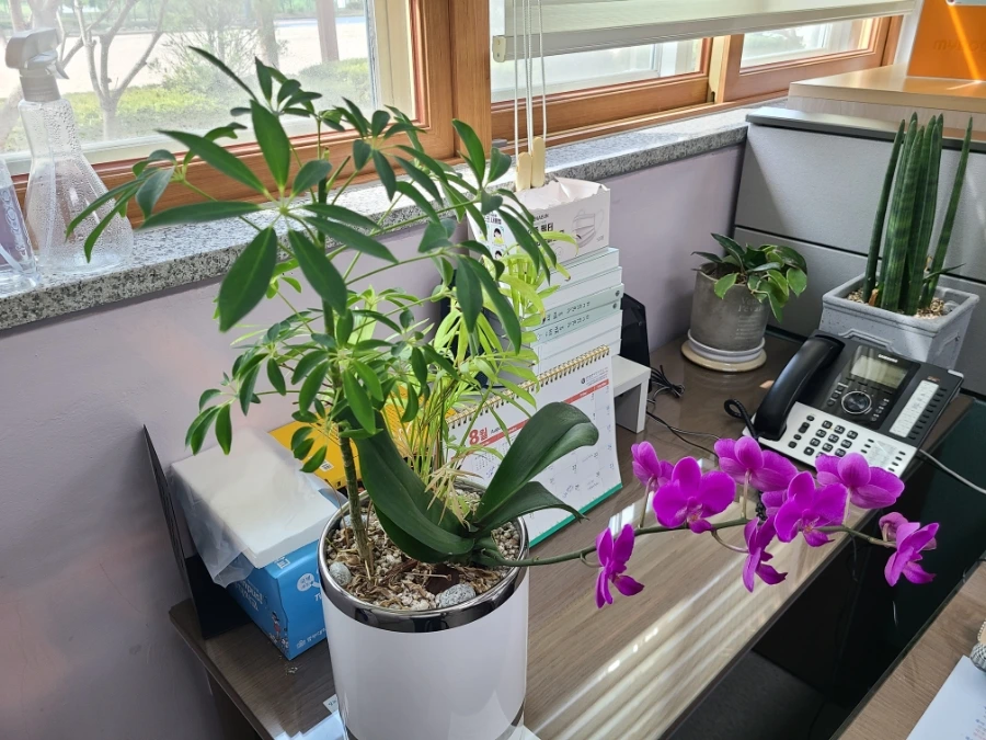 20240806%EF%BC%BF094001.jpg?type=w3840