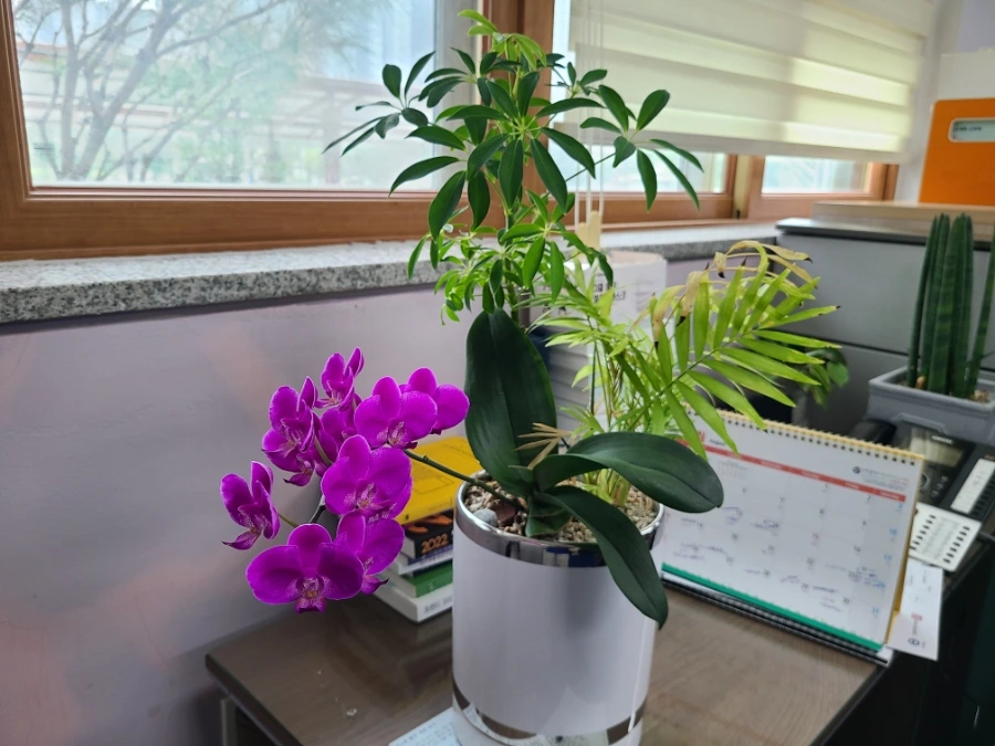 20240824%EF%BC%BF110701.jpg?type=w3840