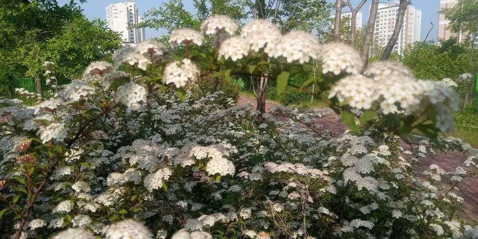 347220574_698288958968479_858658788617053323_n.jpg?stp=dst-jpg_p480x480&_nc_cat=102&ccb=1-7&_nc_sid=8bfeb9&_nc_ohc=PnJabhXBvQgAX_3jOHD&_nc_ht=scontent-ssn1-1.xx&oh=00_AfC2Croxy6d3ieaO__5nnVtHBh_8zDf8szKXWgcCLSfRwQ&oe=646638DF