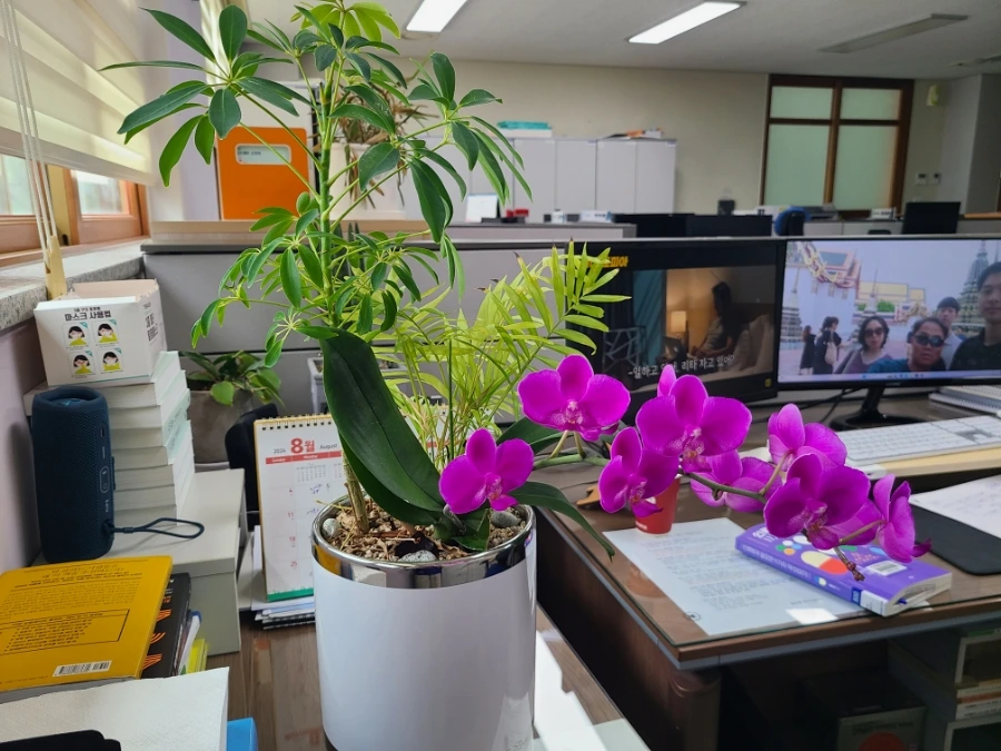 20240824%EF%BC%BF111151.jpg?type=w3840