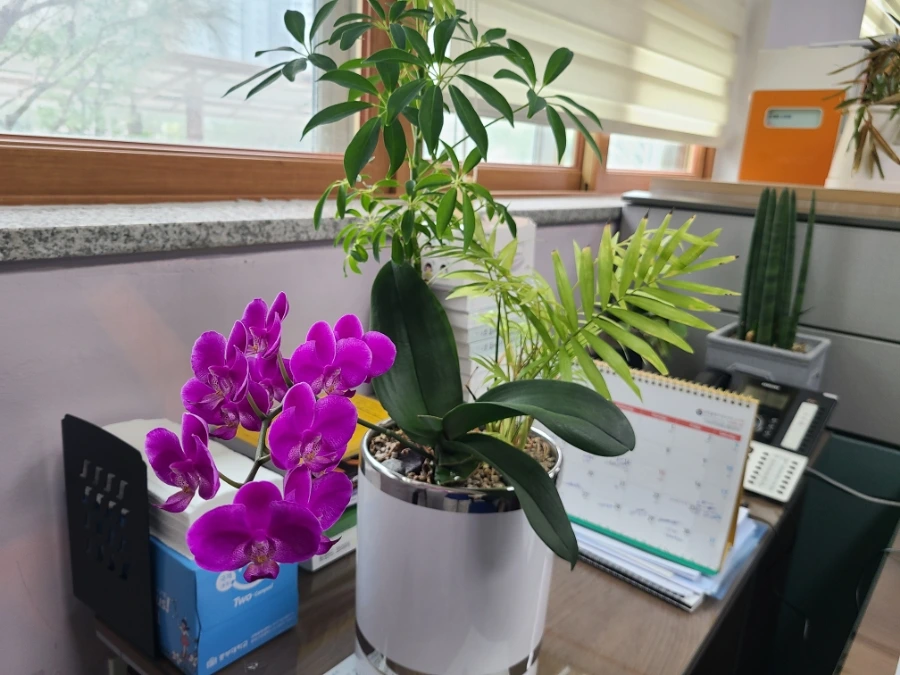 20240824%EF%BC%BF111206.jpg?type=w3840