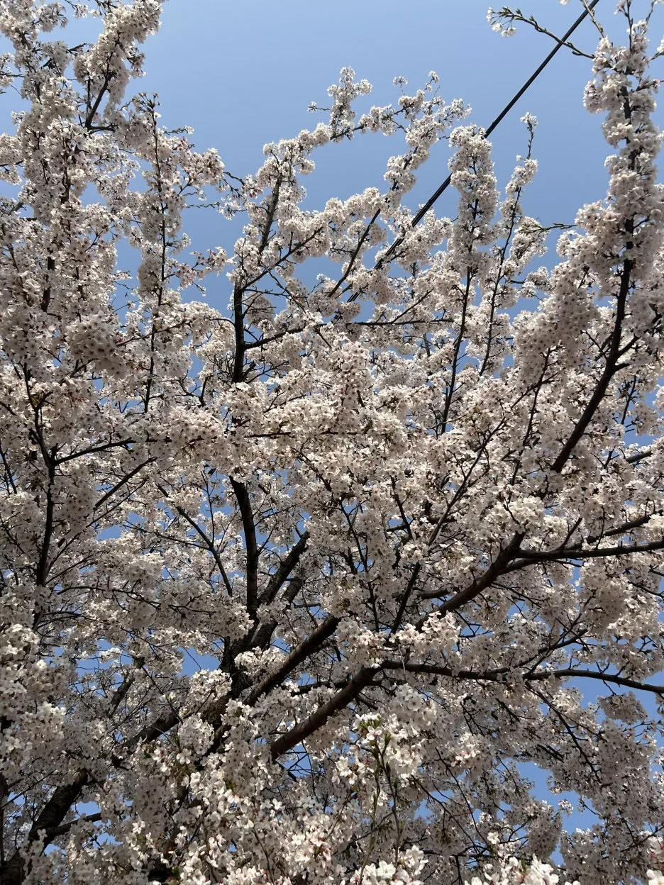 IMG_3932.jpg?type=w1