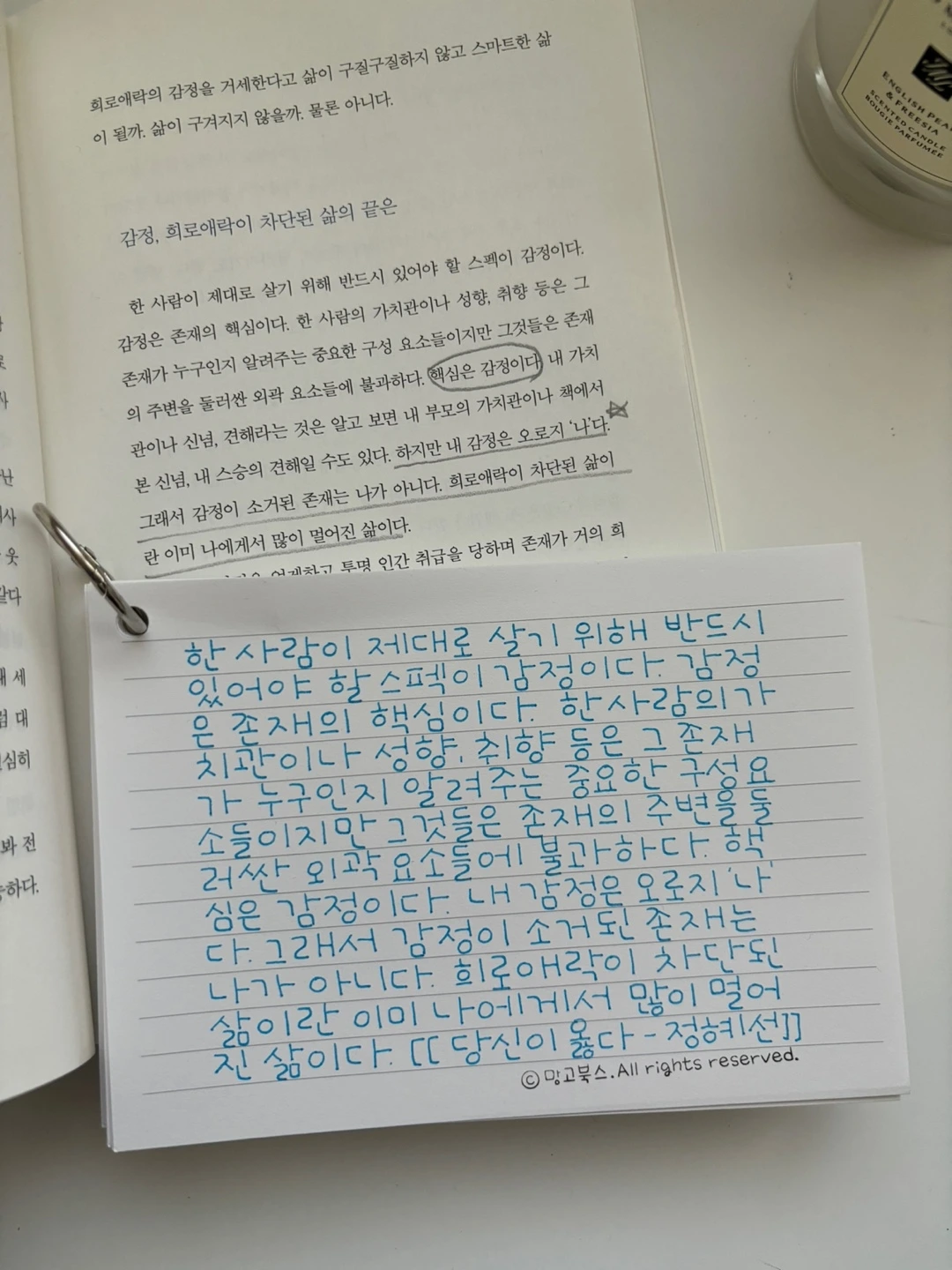 KakaoTalk_Photo_2024-11-13-20-02-19 001.jpeg