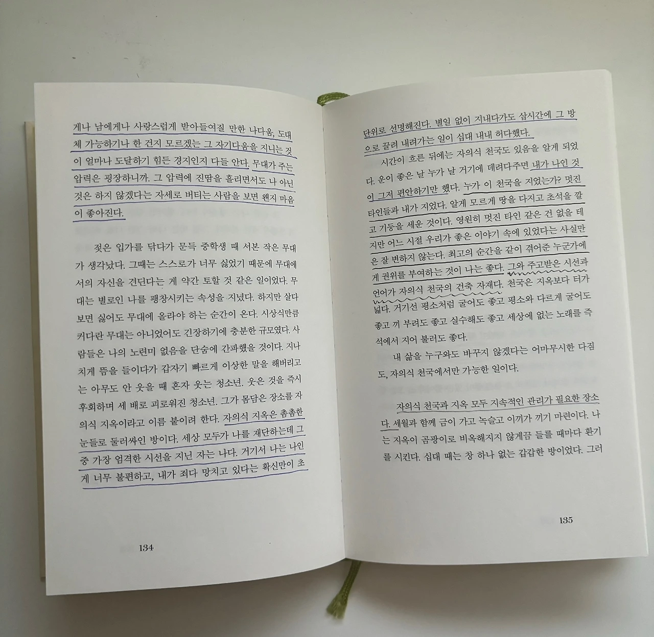 KakaoTalk_Photo_2024-11-12-08-13-34 002.jpeg