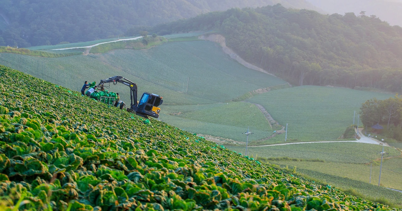 _R6A0454 복사 2=1.JPG