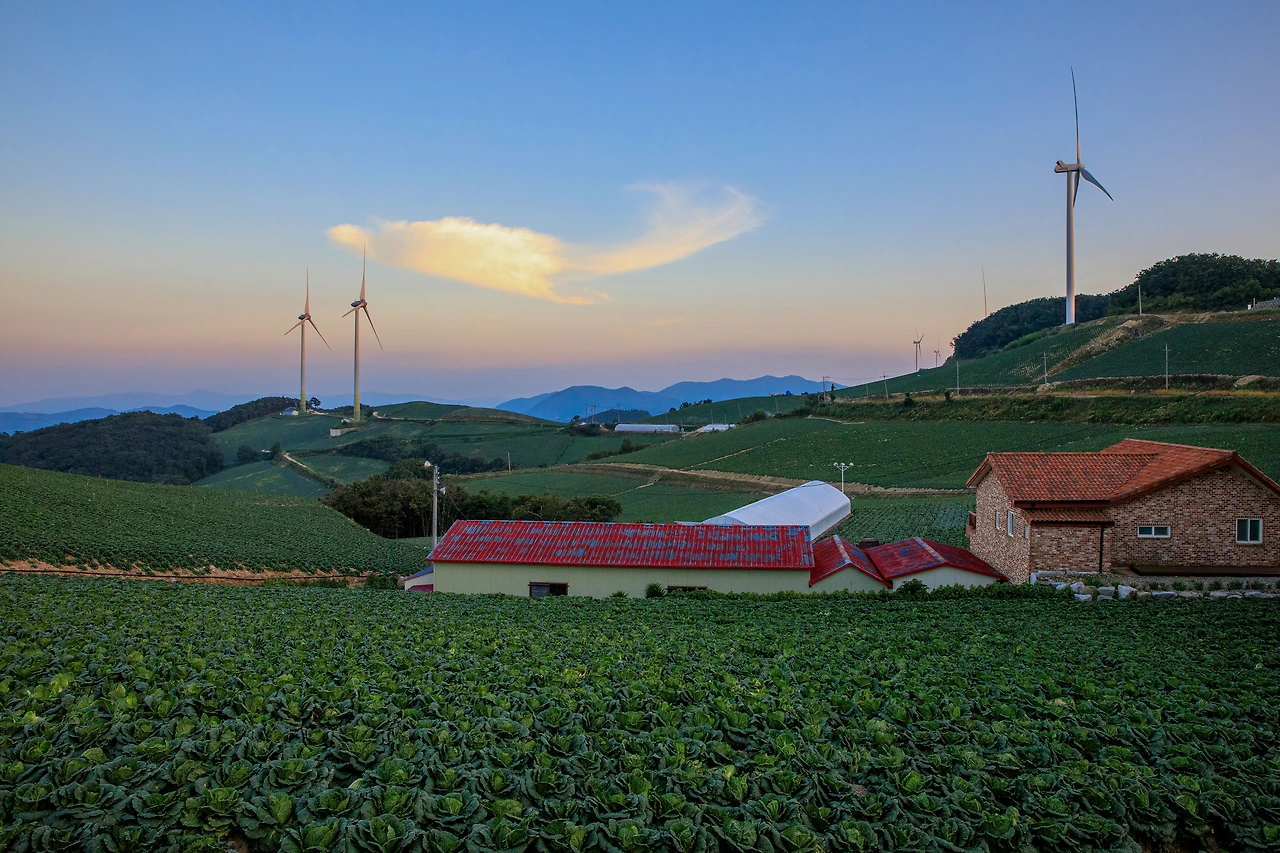 _R6A0271 복사 2-1.JPG