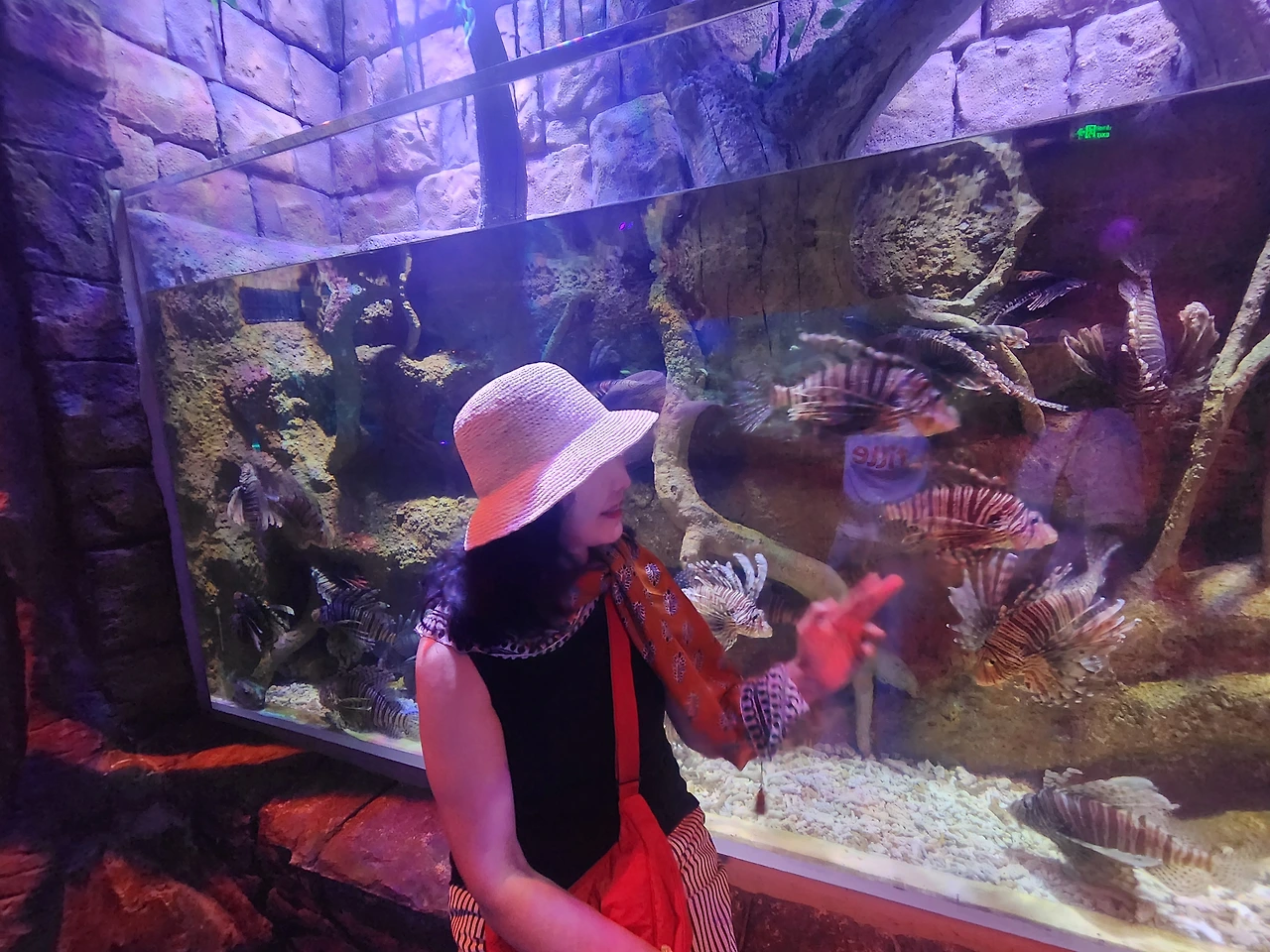 img.jpg?credential=yqXZFxpELC7KVnFOS48ylbz2pIh7yKj8&expires=1756652399&allow_ip=&allow_referer=&signature=MEZa26xyDmViD90c7oPqhU%2FNlFE%3D