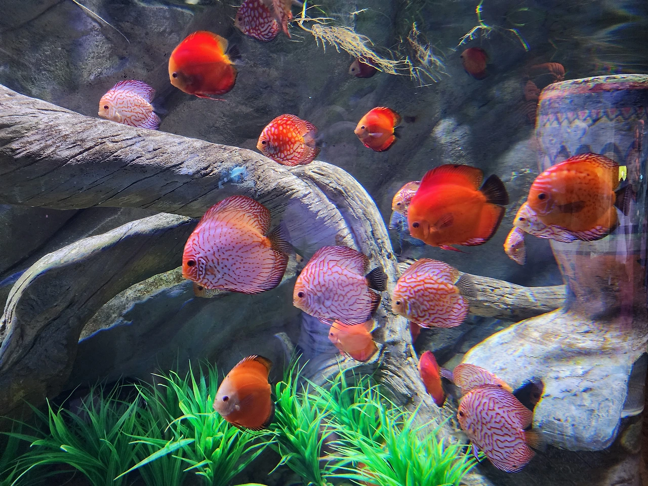 img.jpg?credential=yqXZFxpELC7KVnFOS48ylbz2pIh7yKj8&expires=1756652399&allow_ip=&allow_referer=&signature=oUG64wS1UMIAK%2BIN5f3Xi2%2FLWjE%3D