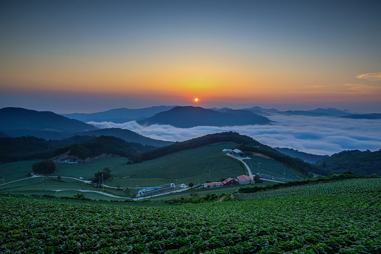 _R6A0411 복사-2.JPG