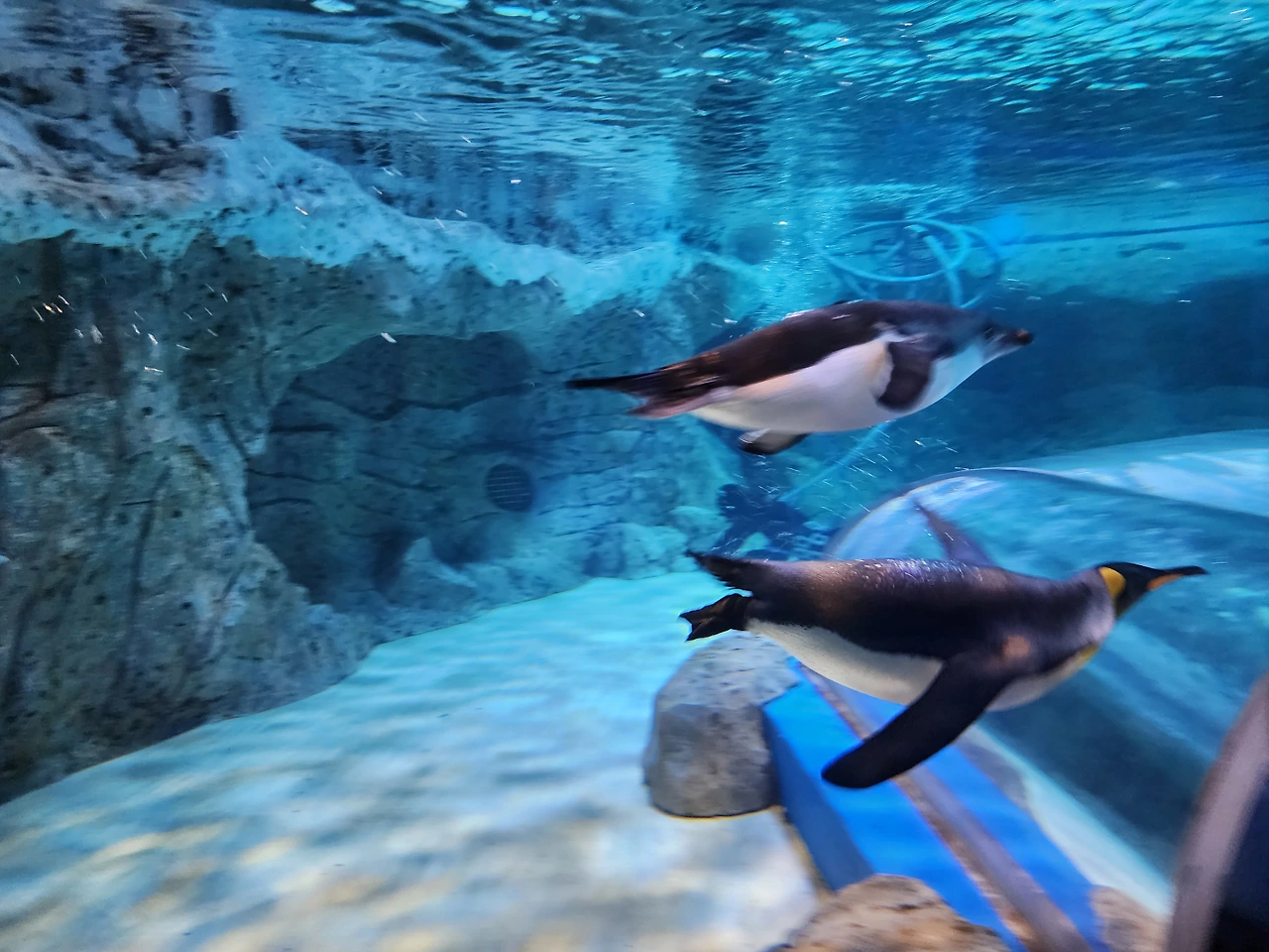 img.jpg?credential=yqXZFxpELC7KVnFOS48ylbz2pIh7yKj8&expires=1756652399&allow_ip=&allow_referer=&signature=f1yjlNtzuF8nuIO3I2w6p1DD2r4%3D