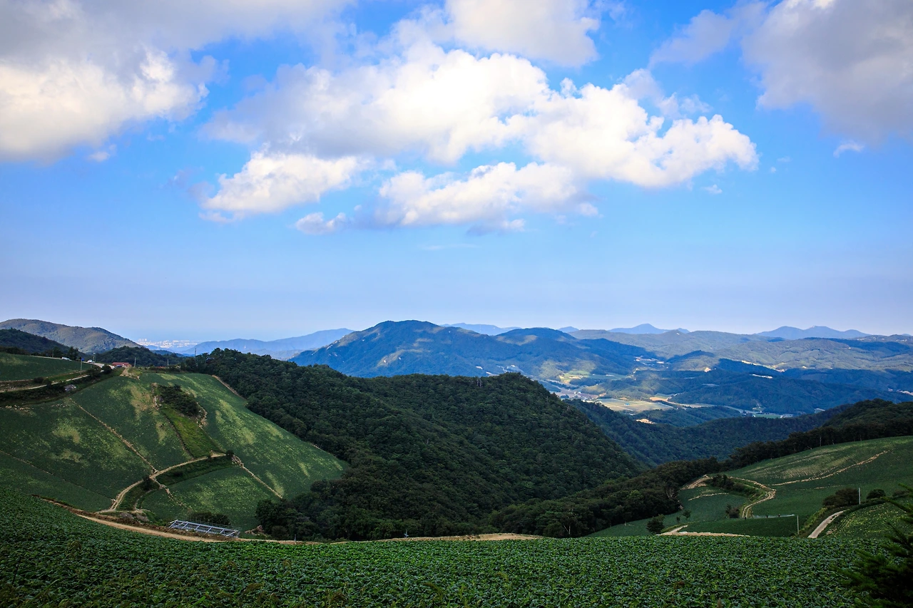 _R6A0218 복사-1.JPG