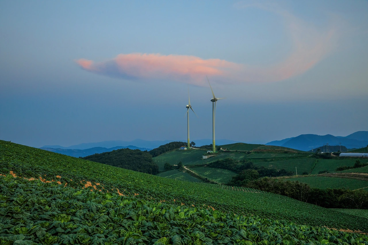 _R6A0286 복사 2-1.JPG