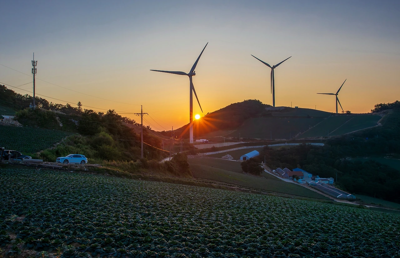 _R6A0264-향상됨-NR 복사.JPG