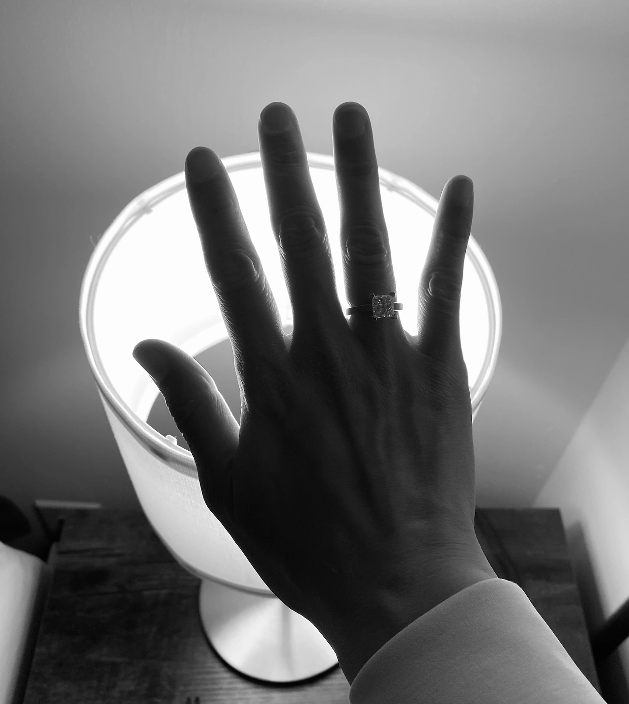 69164509446__EC8F10C5-BACB-4A68-B4EB-31644A36D4EA 2.JPG