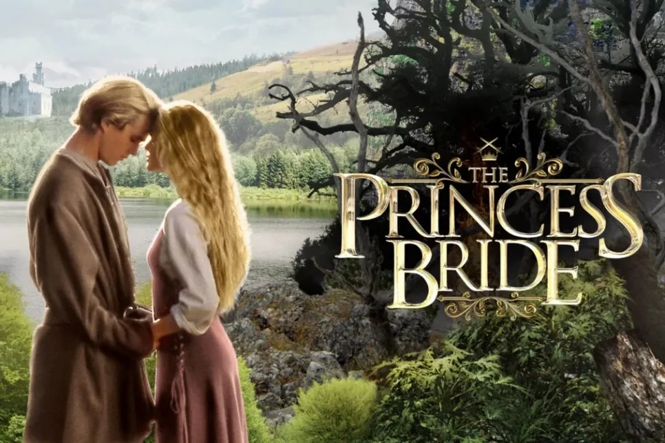 SE-8769725a-f2b1-437a-9802-465843704314.jpg?type=w966