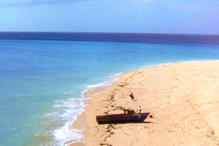 SE-17435f3d-1f71-4d06-83de-6e3569d6f2f0.jpg?type=w1