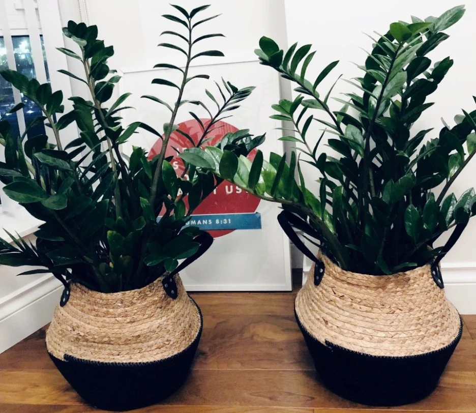 SE-8a73b122-cc68-4a69-b2b2-81c6c2c469a2.jpg?type=w1