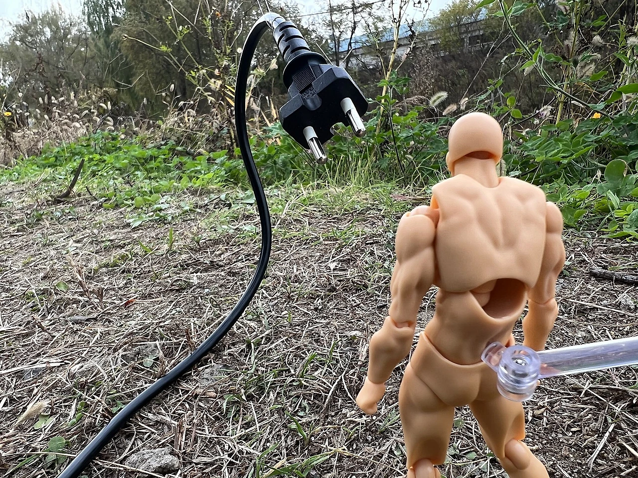 IMG_0478.jpg?type=w1600