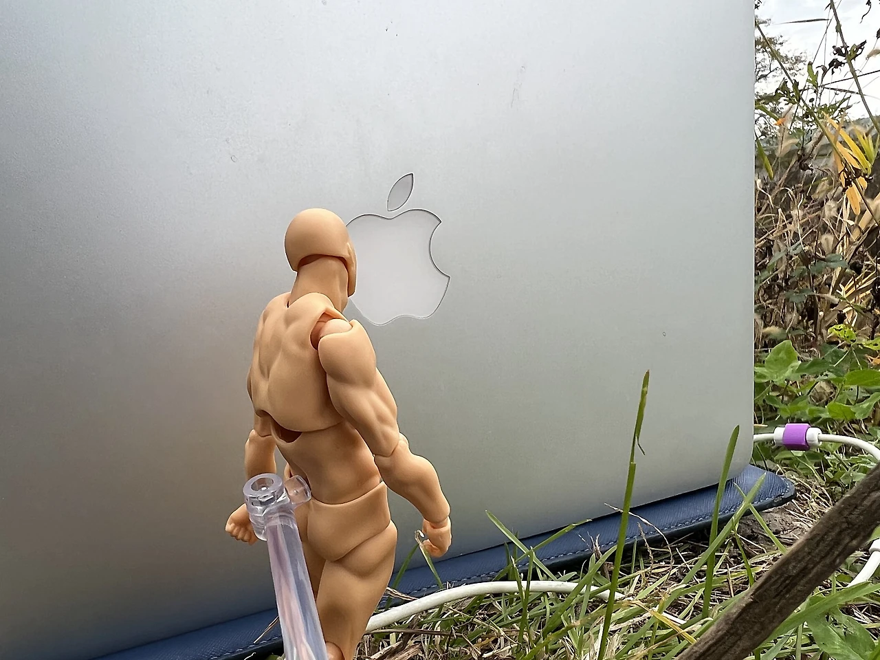 IMG_0485.jpg?type=w1600