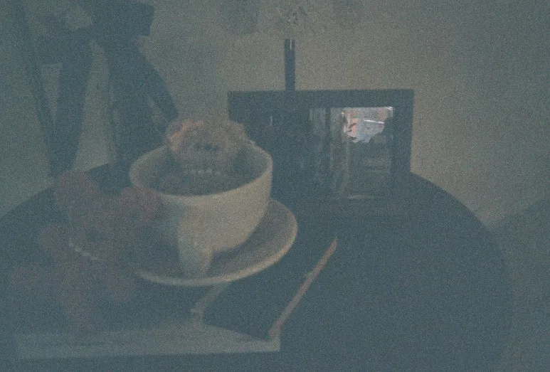 R1-09968-017A.JPG?type=w773