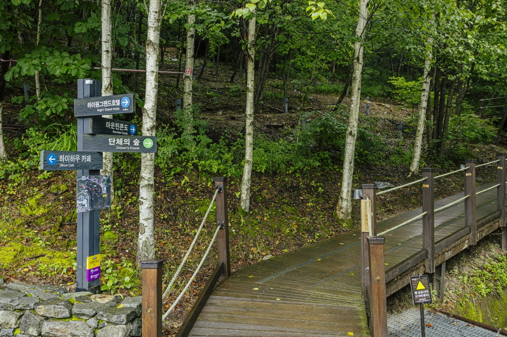 하이원 웰니스  (12).JPG