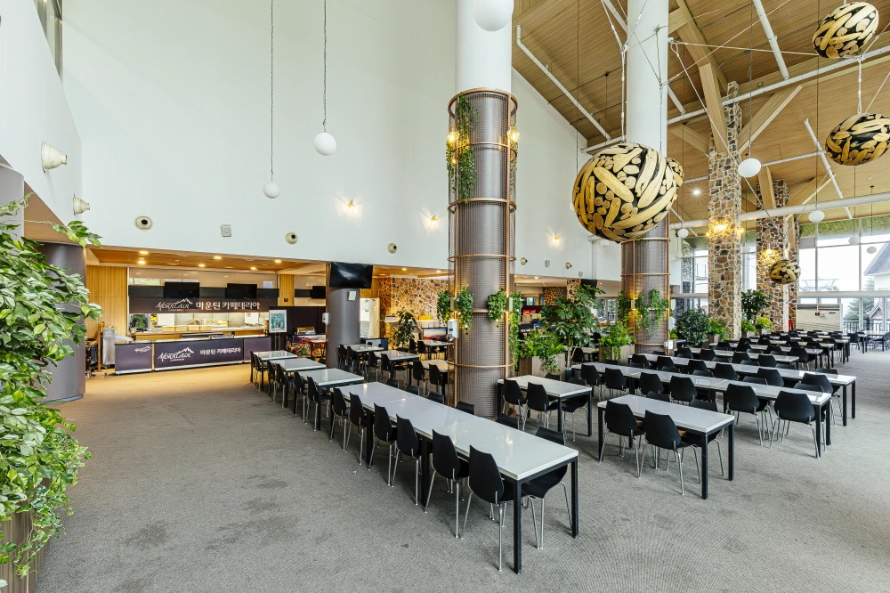 하이원 웰니스  (25).JPG