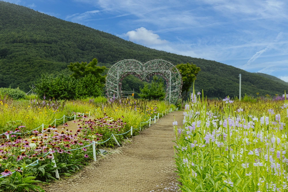 하이원 웰니스  (3).JPG