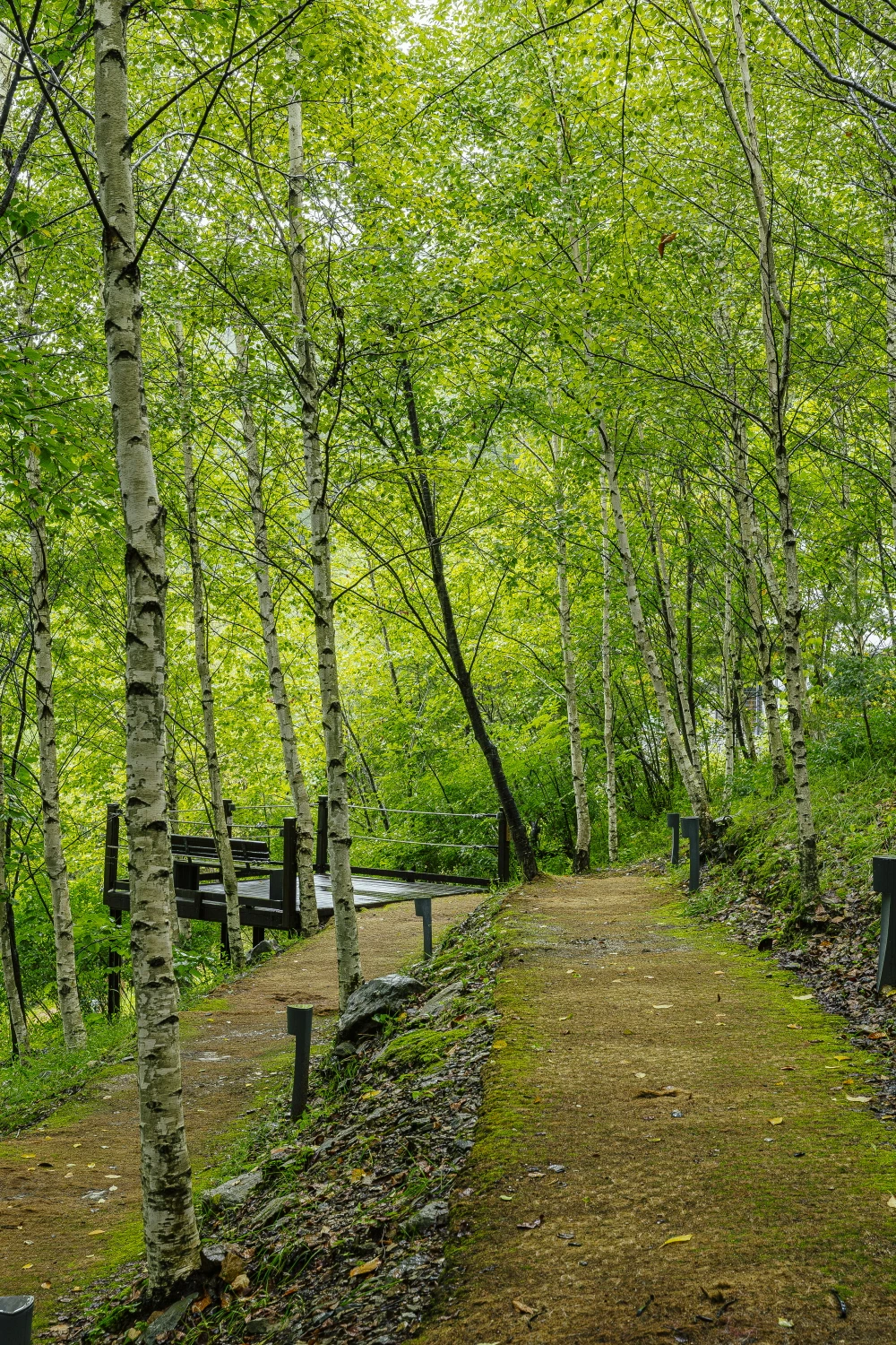 [크기변환]하이원 웰니스 프로그램 (1).JPG