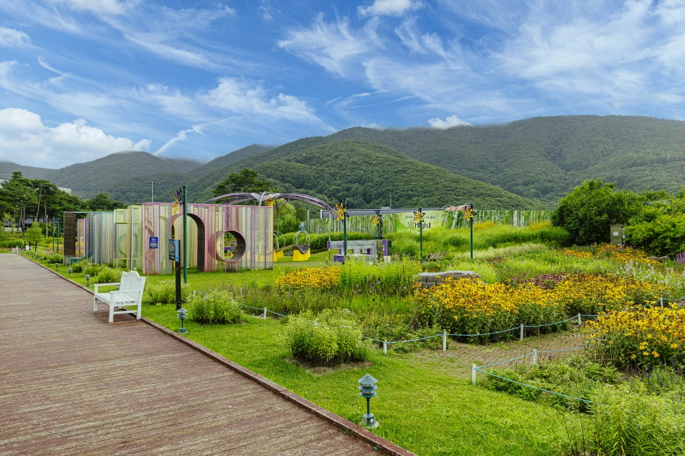 하이원 웰니스  (2).JPG