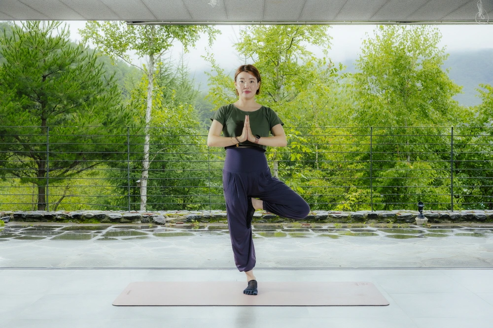 하이원 웰니스  (9).JPG