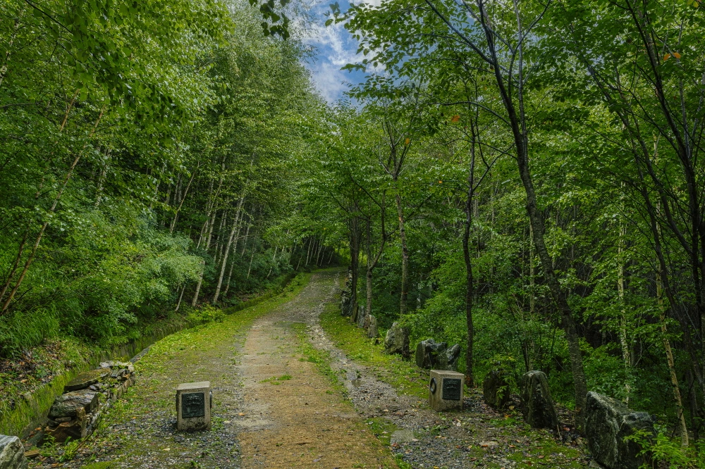 하이원 웰니스  (13).JPG