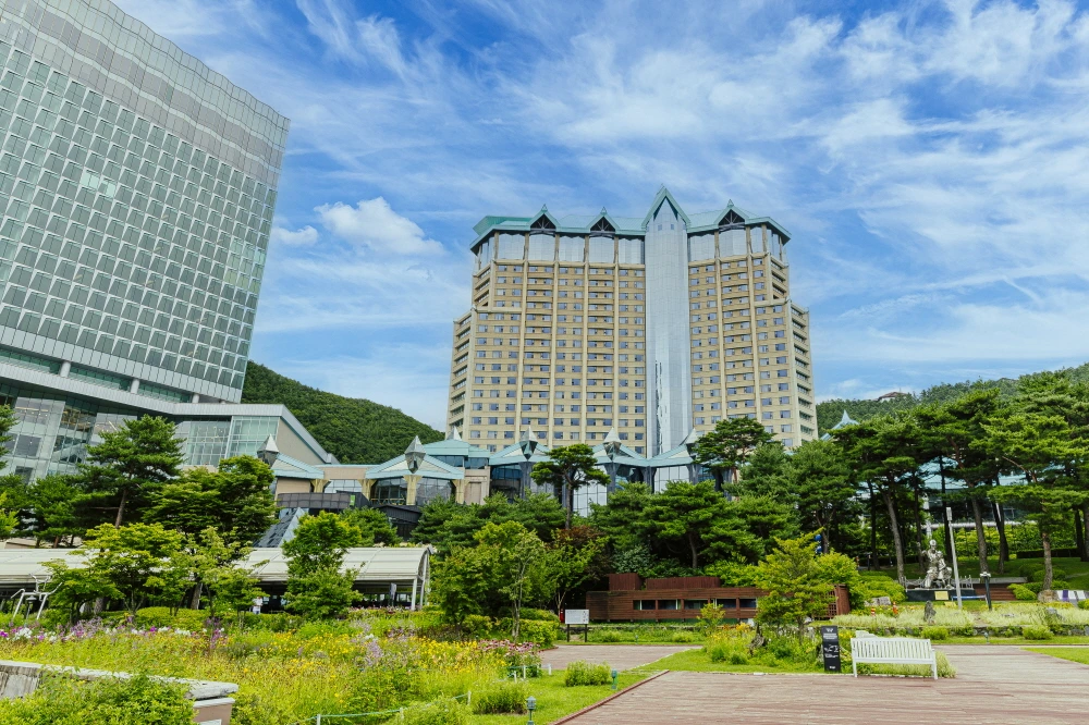 하이원 웰니스  (1).JPG