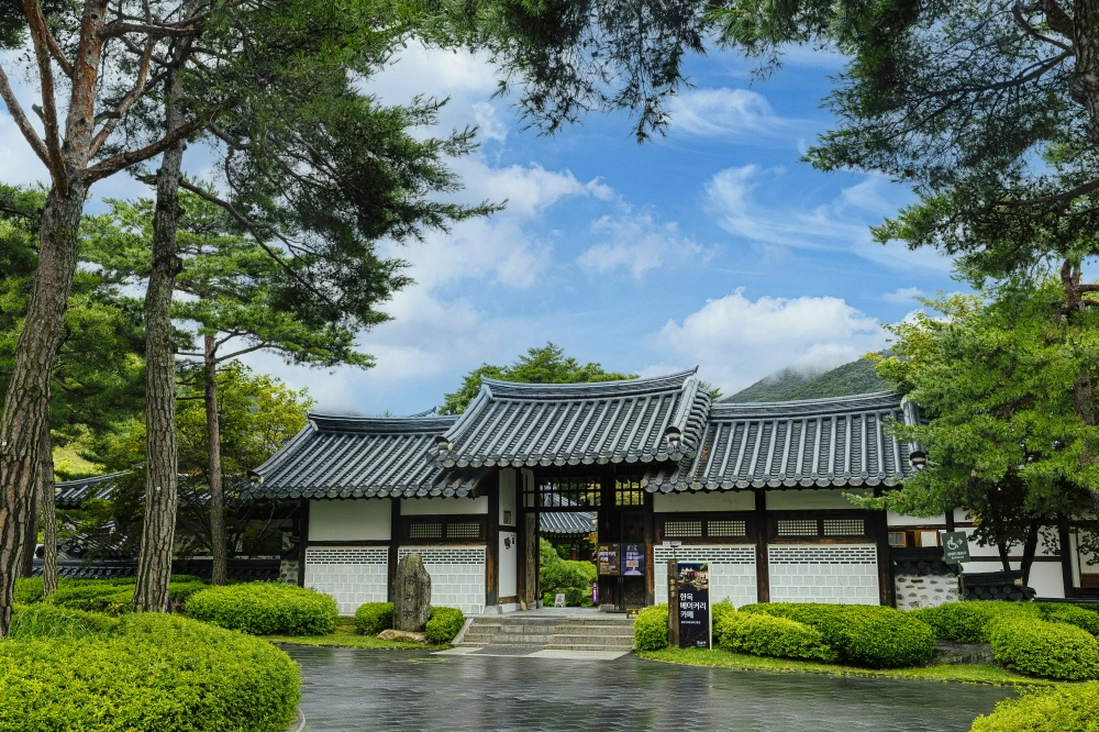 하이원 웰니스  (16).JPG