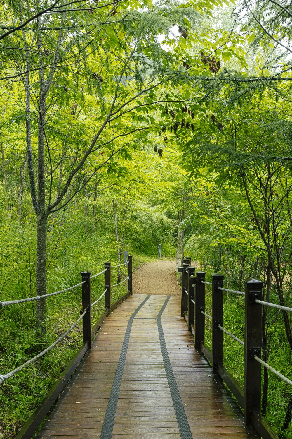 [크기변환]하이원 웰니스 프로그램 (2).JPG