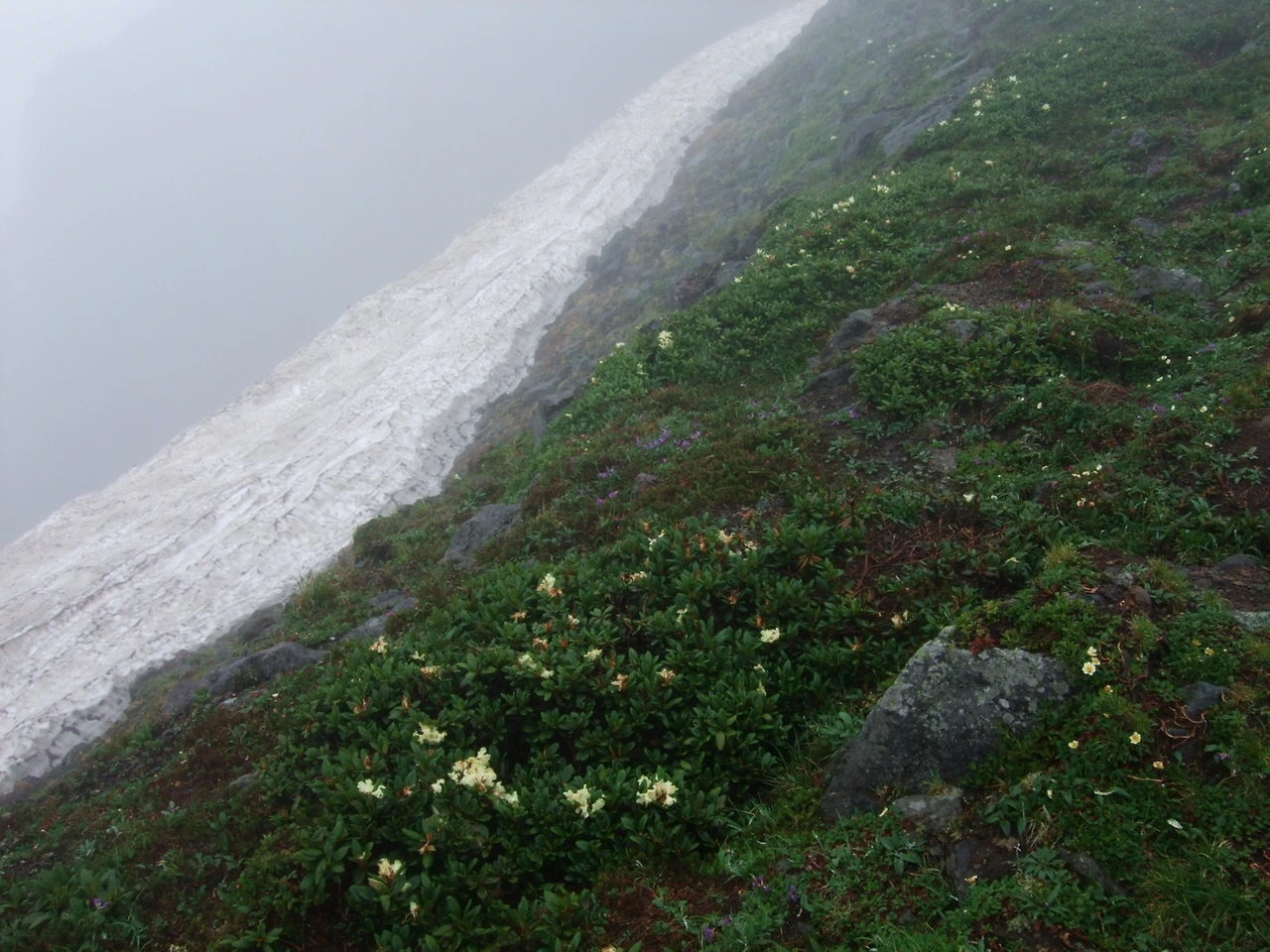 북편의 설빙.JPG