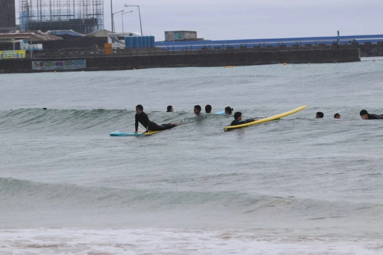 제주살이2526.jfif