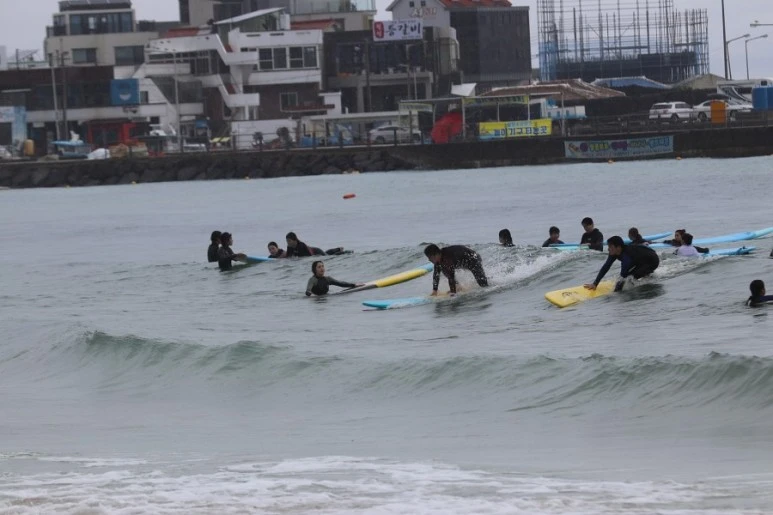 제주살이2525.jfif