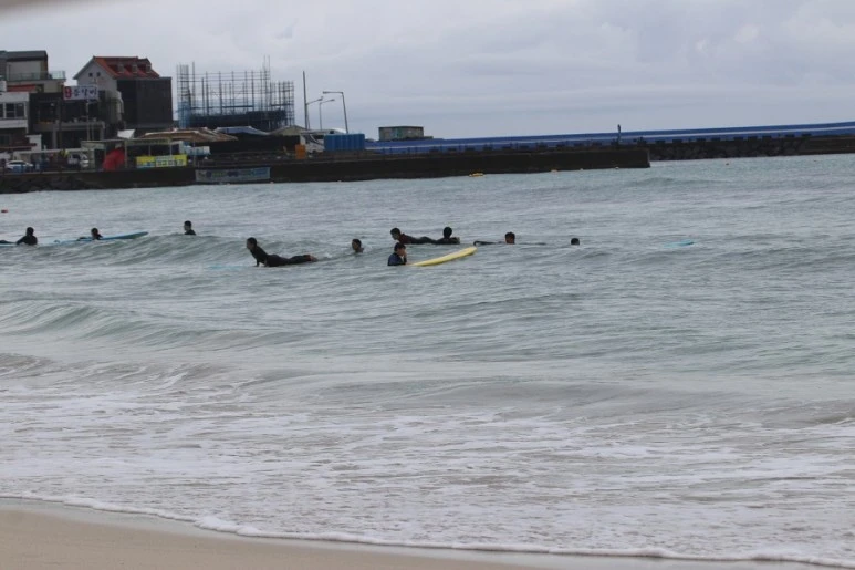 제주살이2528.jfif