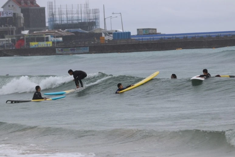 제주살이2524.jfif