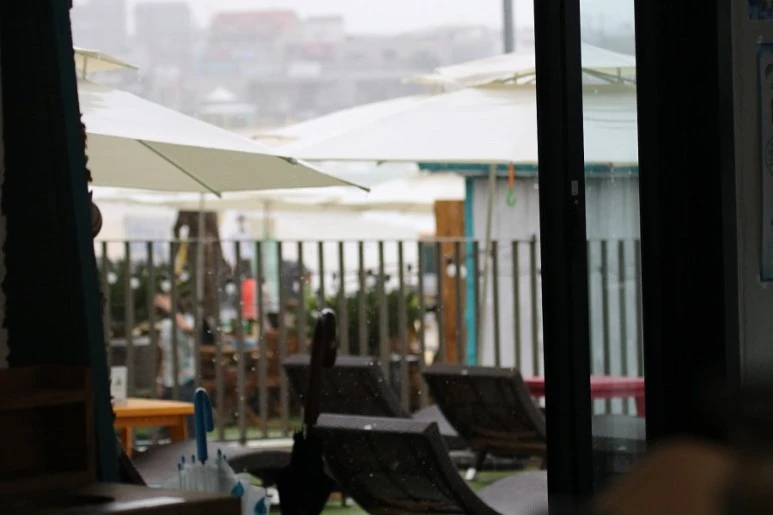 제주살이2529.jfif