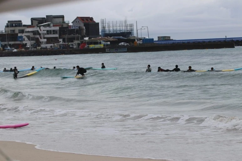 제주살이2527.jfif