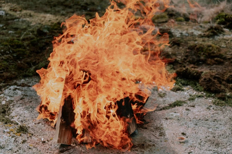 pexels-cottonbro-studio-6003110.jpg?type=w1