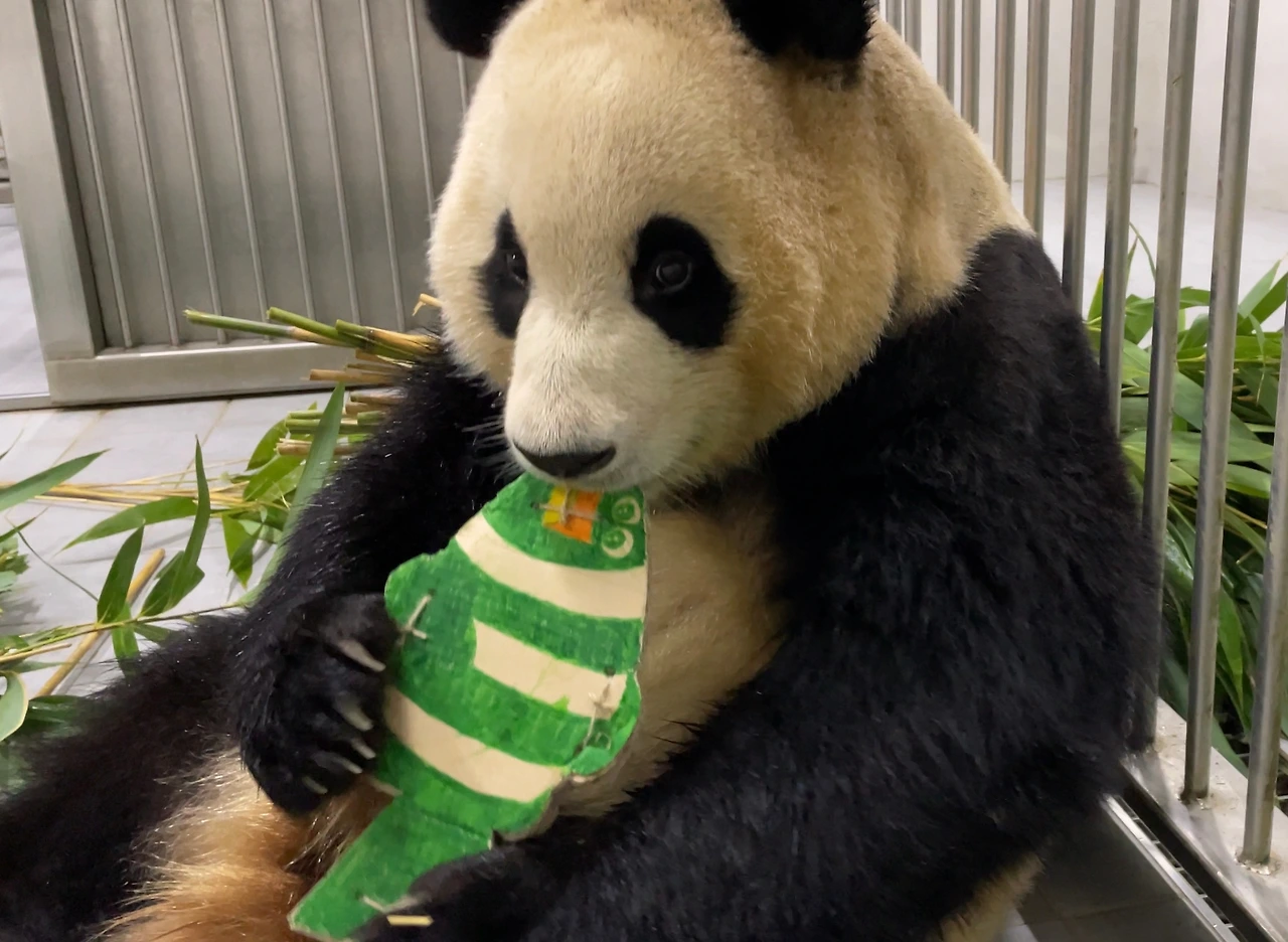 41129814-96D6-4D13-B6B2-A9498407026D (1).jpeg