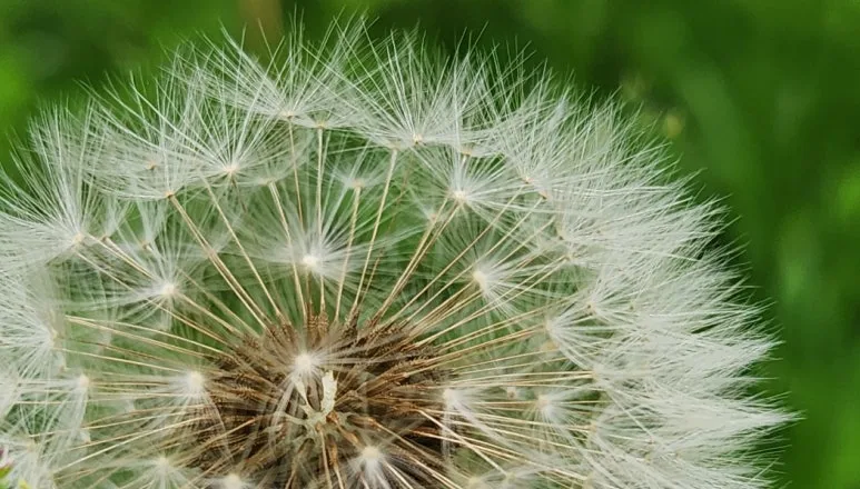 SE-02dc7a7f-5809-4ef3-a110-29da1f1eef9b.jpg?type=w773