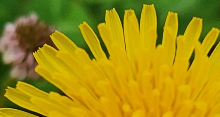 SE-2dd14f28-d897-4e35-951d-d4fe099f065c.jpg?type=w773