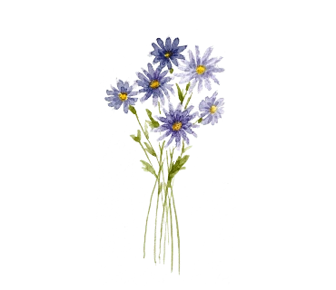 original_15.png?type=p100_100