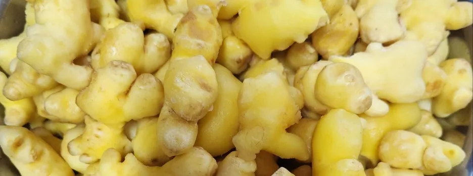 SE-baa5513b-f56a-4517-9d52-ee276a33a72a.jpg?type=w1