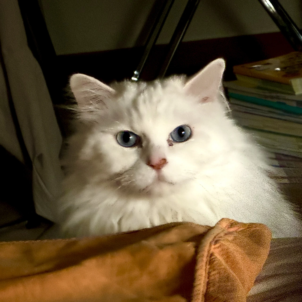 img.png?credential=yqXZFxpELC7KVnFOS48ylbz2pIh7yKj8&expires=1764514799&allow_ip=&allow_referer=&signature=4hJfprOSIApRTc2qeDP%2FhU3FmCs%3D