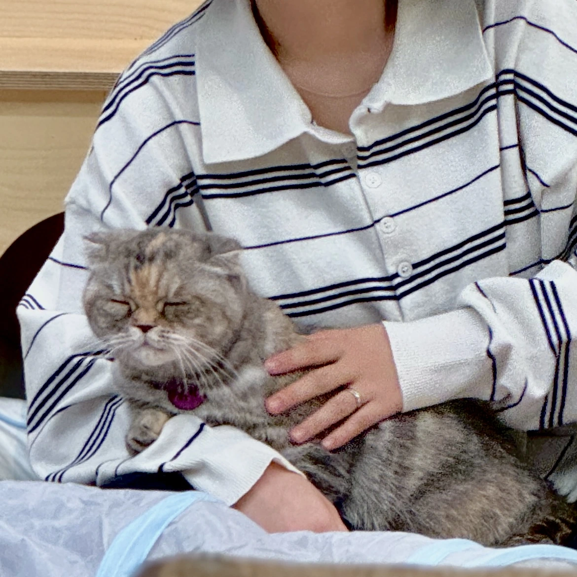 img.png?credential=yqXZFxpELC7KVnFOS48ylbz2pIh7yKj8&expires=1764514799&allow_ip=&allow_referer=&signature=H9vJGhsGeYDYMWxn6wbzRhsHYrA%3D