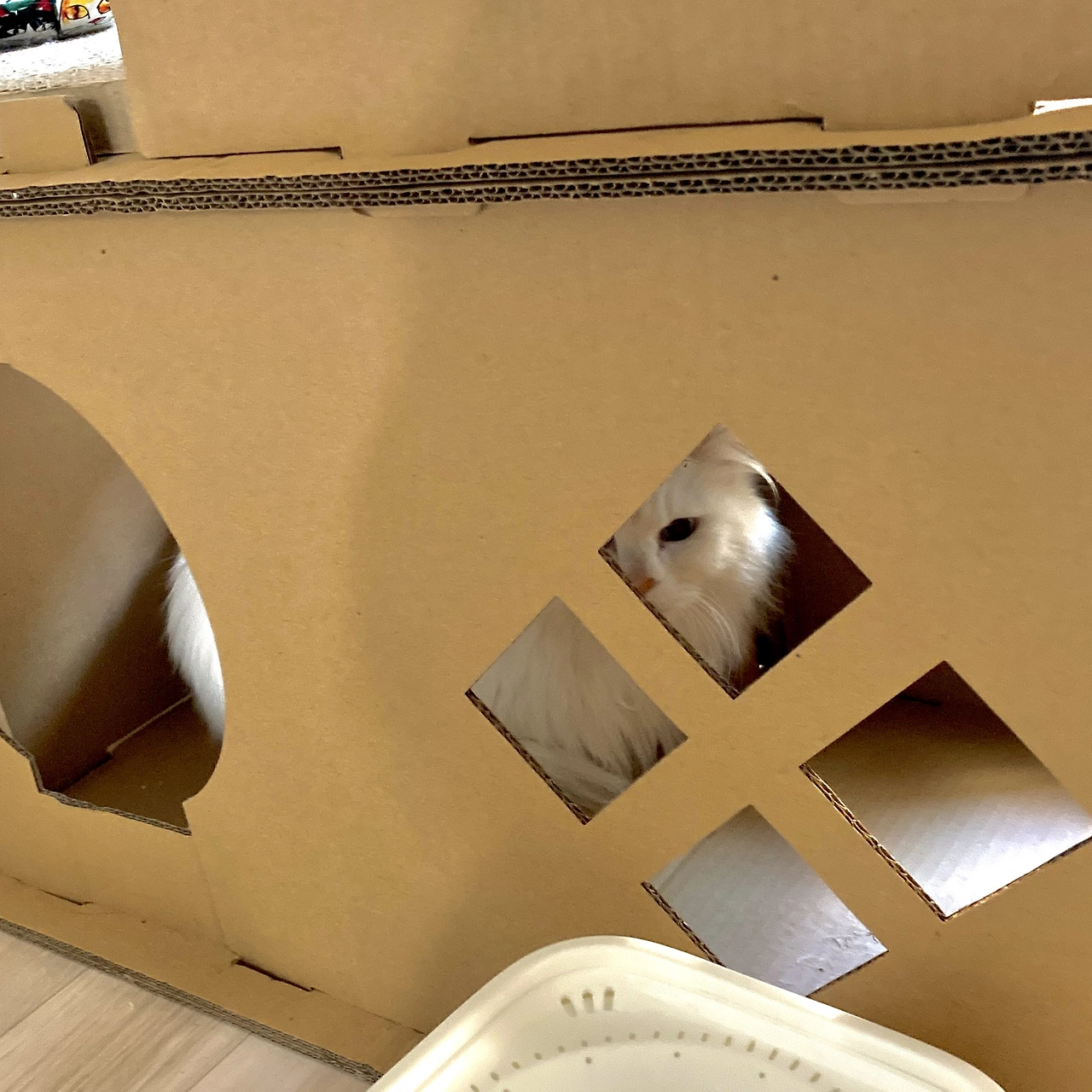 img.png?credential=yqXZFxpELC7KVnFOS48ylbz2pIh7yKj8&expires=1764514799&allow_ip=&allow_referer=&signature=%2FTGnuOfyJRjz46eism3zXIetkMk%3D